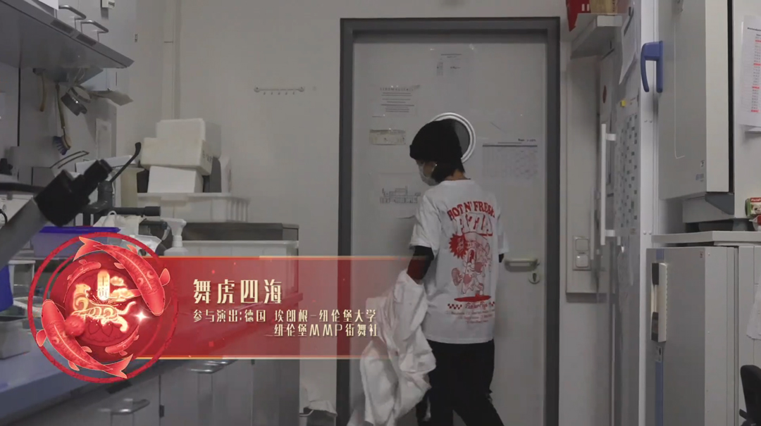 《舞虎四海》