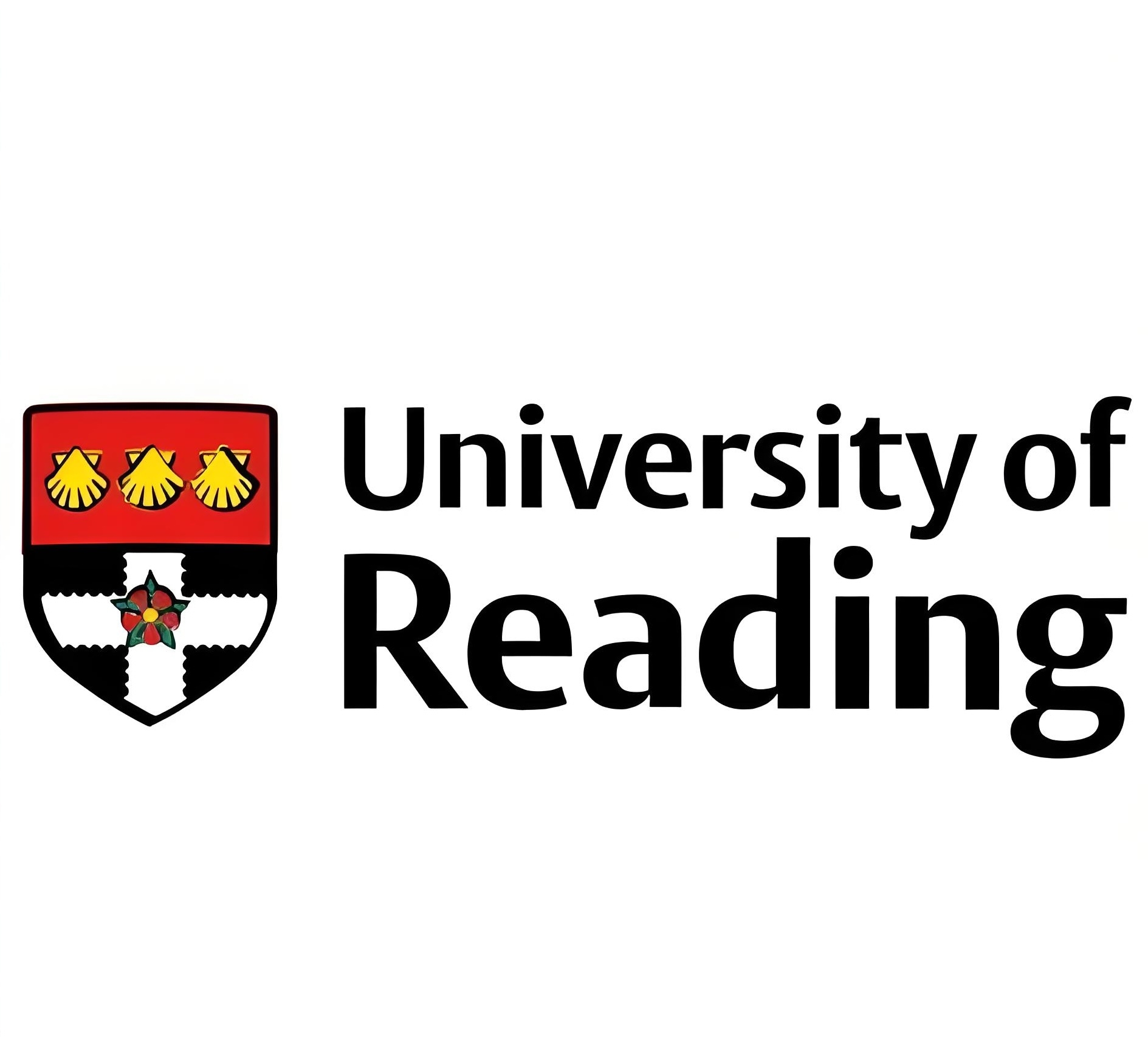 雷丁大学